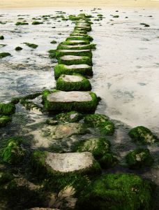 1216274_stepping_stones