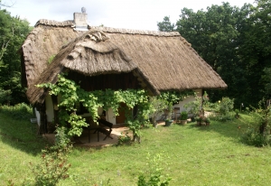 1271937_old_farmers_house[1]